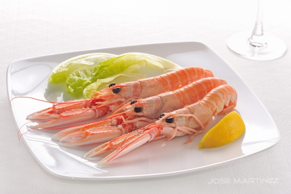 Cigalas